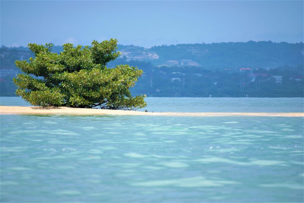 Serene view of a small island with lush greenery surrounded by calm blue waters in Bali, Indonesia.
