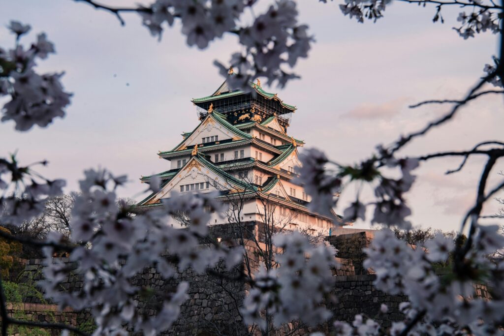 Captivating view of Osaka Castle framed by cherry blossoms in full bloom during spring.